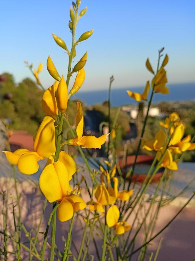 La Petite Maison Aci Castello Bagian luar foto